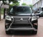 Lexus GX 460 Luxury 2018 - Bán Lexus GX460 Luxury năm 2018, màu đen, xe nhập Mỹ full kịch option