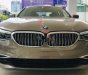 BMW 5 Series 530i 2019 - Bán BMW 5 Series 530i đời 2019, màu nâu