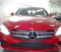 Mercedes-Benz C class C200 2019 - Cần bán xe Mercedes C200 năm sản xuất 2019, màu đỏ