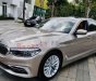 BMW 5 Series 530i 2019 - Bán BMW 5 Series 530i đời 2019, màu nâu