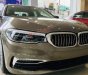 BMW 5 Series 530i 2019 - Bán BMW 5 Series 530i đời 2019, màu nâu