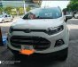 Ford EcoSport Sport Titanium   2016 - Bán Ford EcoSport Sport Titanium đời 2016, màu trắng, giá cạnh tranh