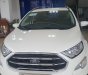 Ford EcoSport 2019 - Ecosport tất cả các phiên bản, giảm giá cực sốc ngay trong tháng, chỉ từ 505 triệu đồng