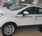 Ford EcoSport 2019 - Bán ô tô Ford EcoSport đời 2019