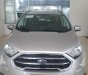 Ford EcoSport 2019 - Cần bán xe Ford EcoSport sản xuất 2019