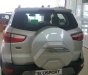 Ford EcoSport 2019 - Cần bán xe Ford EcoSport sản xuất 2019