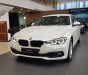 BMW 3 Series 320i 2018 - Cần bán BMW 320i 2018, màu trắng, nhập khẩu