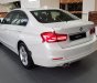 BMW 3 Series 320i 2018 - Cần bán BMW 320i 2018, màu trắng, nhập khẩu