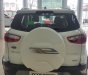 Ford EcoSport 2019 - Cần bán xe Ford EcoSport đời 2019