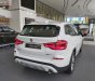 BMW X3 xDrive30i xLine 2019 - Bán BMW X3 xDrive30i xLine 2019, màu trắng, xe nhập