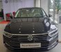 Volkswagen Passat 2018 - Passat Bluemotion sang trọng lịch lãm, nét đẹp chuẩn "Châu Âu"