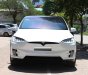 Xe tải ben X P100D 2018 - Bán xe Mỹ Tesla X P100D SX 2018