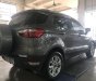 Ford EcoSport  Titanium 2016 - Bán Ford EcoSport Titanium năm 2016, màu xám giá cạnh tranh