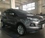 Ford EcoSport  Titanium 2016 - Bán Ford EcoSport Titanium năm 2016, màu xám giá cạnh tranh