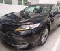 Toyota Camry 2019 - Bán Toyota Camry năm 2019, màu đen, xe nhập