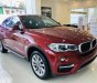 BMW X6 2019 - Bán BMW X6 35i Coupe, màu đỏ, xe nhập khẩu Đức, hầm hố, thể thao