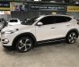 Hyundai Tucson 1.6 Turbo 2017 - Bán Hyundai Tucson 1.6 Turbo màu trắng camay, máy xăng, số tự động, sản xuất 12/2017, một chủ đi 29000km