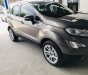 Ford EcoSport 1.5 L  AT Titanium 2019 - Bán xe Ford EcoSport 1.5 L AT Titanium năm sản xuất 2019, màu nâu, giá 610tr