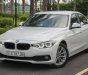 BMW 3 Series  	320i	  2016 - Bán BMW 3 Series 320i đời 2016, màu trắng, nhập khẩu