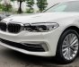 BMW 5 Series 530i Luxury Line 2019 - Bán BMW 530i Luxury Line 2019, màu trắng, nhập khẩu