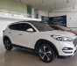 Hyundai Tucson Tubor 2017 - Hãng bán Hyundai Tucson Tubor 1.6AT, 2017 màu trắng, xe lên đồ cực đẹp