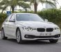 BMW 3 Series  	320i	  2016 - Bán BMW 3 Series 320i đời 2016, màu trắng, nhập khẩu