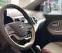 Kia Morning Luxury 2019 - Bán ô tô Kia Morning sản xuất 2019, bản cao cấp