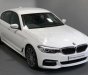 BMW 5 Series  520i  2016 - Bán BMW 520i năm 2016, màu trắng, nhập khẩu