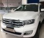 Ford Everest  titanium  2019 - Bán xe Ford Everest 2019, màu trắng, nhập khẩu