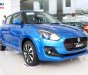 Suzuki Swift 2019 - Bán Suzuki Swift sản xuất năm 2019, màu xanh lam, xe nhập, 549 triệu