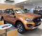 Ford Ranger Wildtrak 2019 - Ranger Wildtrak 2019 chỉ còn vài chiếc, giá cực sốc trong tháng này