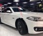 BMW 5 Series 520i 2015 - Bán BMW 5 Series 520i 2015, màu trắng