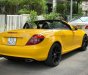 Mercedes-Benz SLK class  SLK350   2008 - Bán Mercedes SLK350 2008, màu vàng, nhập khẩu