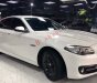 BMW 5 Series 520i 2015 - Bán BMW 5 Series 520i 2015, màu trắng