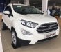 Ford EcoSport 1.0 Titanium 2019 - Bán Ford Ecosport xe mới, chính hãng, liên tục giảm giá, đủ màu, đủ phiên bản giao luôn. LH 0965.423.558