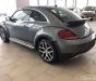 Volkswagen Beetle   Dune  2019 - Bán Volkswagen Beetle Dune năm 2019, màu xám, nhập khẩu  