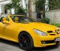 Mercedes-Benz SLK class  SLK350   2008 - Bán Mercedes SLK350 2008, màu vàng, nhập khẩu