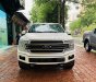 Ford F 150 Limited 2019 - Bán Ford F150 Limited sản xuất 2019, xe nhập Mỹ