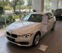 BMW 3 Series 320i 2018 - Bán BMW 3 Series 320i năm 2018, màu trắng, nhập khẩu