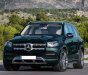 Mercedes-Benz GLS 450 2019 - Bán Mercedes GLS450 2020, màu đen, nhập khẩu