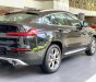 BMW X4   xDrive 20i 2019 - Cần bán xe BMW X4 xDrive 20i năm sản xuất 2019, nhập khẩu nguyên chiếc