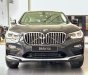 BMW X4   xDrive 20i 2019 - Cần bán xe BMW X4 xDrive 20i năm sản xuất 2019, nhập khẩu nguyên chiếc
