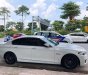 BMW 5 Series 520i 2015 - Bán BMW 5 Series 520i năm sản xuất 2015, màu trắng