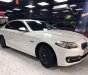 BMW 5 Series 520i 2015 - Bán BMW 5 Series 520i năm sản xuất 2015, màu trắng