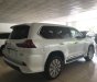 Lexus LX 2019 - Bán Lexus LX570 4 chỗ sản xuất 2019,4 ghế massage, 4 cửa hít, màu trắng, nội thất da bò, xe giao ngay