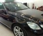 Mercedes-Benz E class E250 AT 2010 - Cần bán lại xe Mercedes năm sản xuất 2010, màu nâu