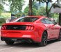 Ford Mustang   2019 - Ford Mustang 2.3 EcoBoost Fastback 2019, màu đỏ