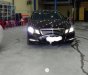 Mercedes-Benz E class E250 CGI 2010 - Bán Mercedes E250 CGI đời 2010, màu nâu