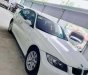 BMW 3 Series  320i 2008 - Chính chủ bán BMW 3 Series 320i đời 2008, màu trắng, nhập khẩu