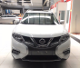 Nissan X trail 2019 - Cần bán xe Nissan X trail đời 2019, xe nhập, giá 865tr